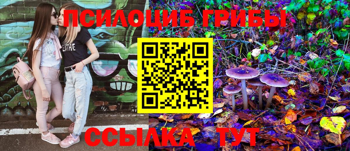 Мыски  Галлюциногенные грибы прущие грибы  Псилоцибиновые грибы GOLDEN TEACHER  Вход с VPN 